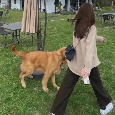 桃花劫